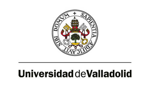 Departamento de Física Teórica, Atómica y Optica - UVA