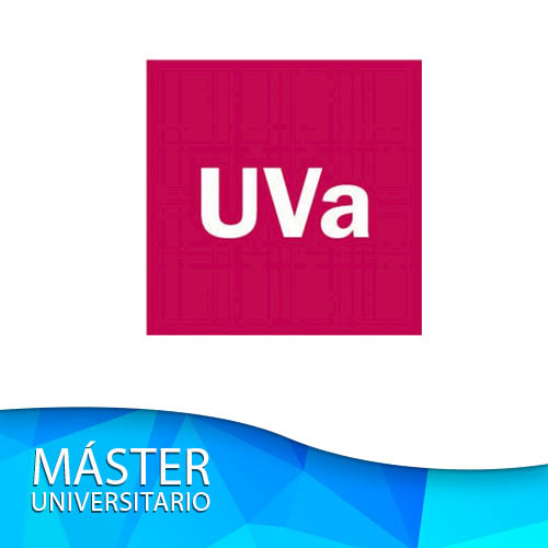 Master Universidad de Valladolid 