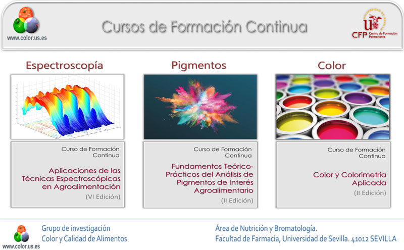 Cursos de formación continua en espectroscopía, pigmentos  y  color
